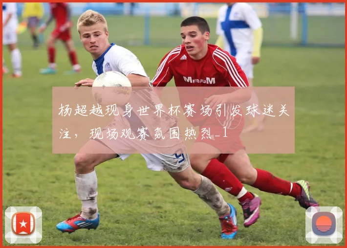 杨超越现身世界杯赛场引发球迷关注,现场观赛氛围热烈_1